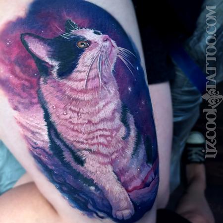 Liz Cook - Noodles the 3 Legged Nebula Kitty